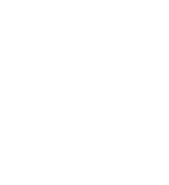 DiFlorio Advogados Logo Branco